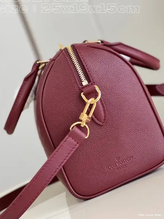 Rep ladies BANDOULIÈRE SPEEDY 25 LOUIS VUITTON 0529